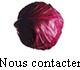 Nous contacter