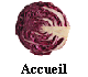 Accueil