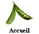 Accueil