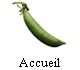 Accueil