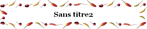 Sans titre2