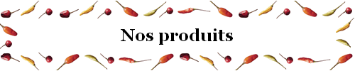 Nos produits